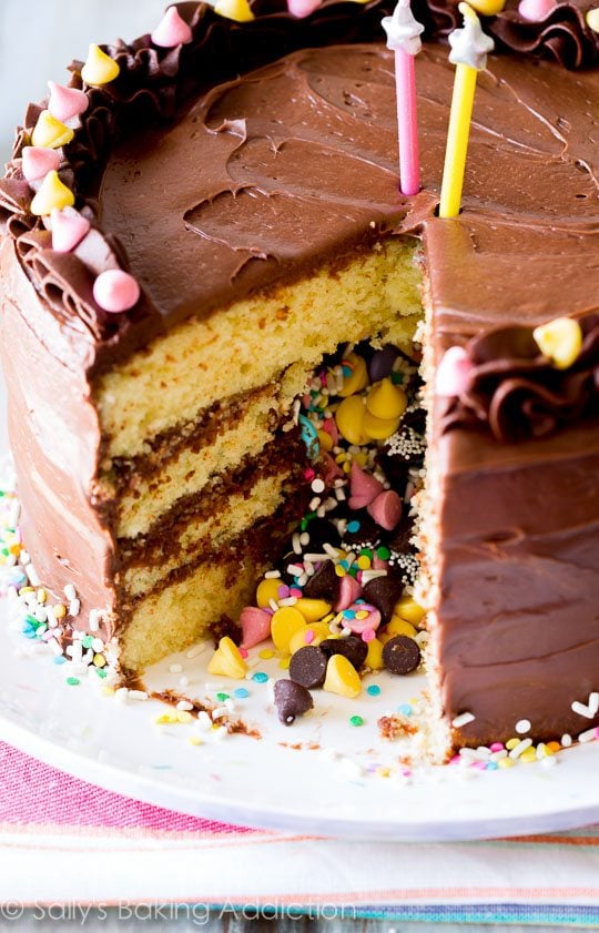 piñata cake on a white serving plate with a slice removed showing the candy center