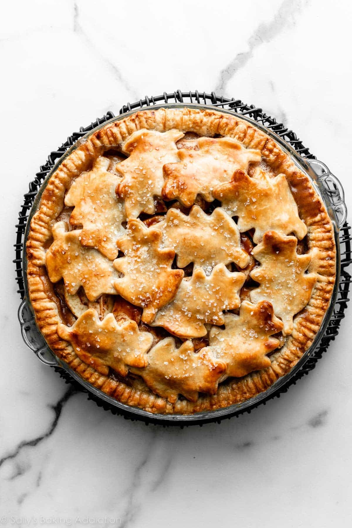 pie with 12 big leaf pie crust shapes arranged on top.
