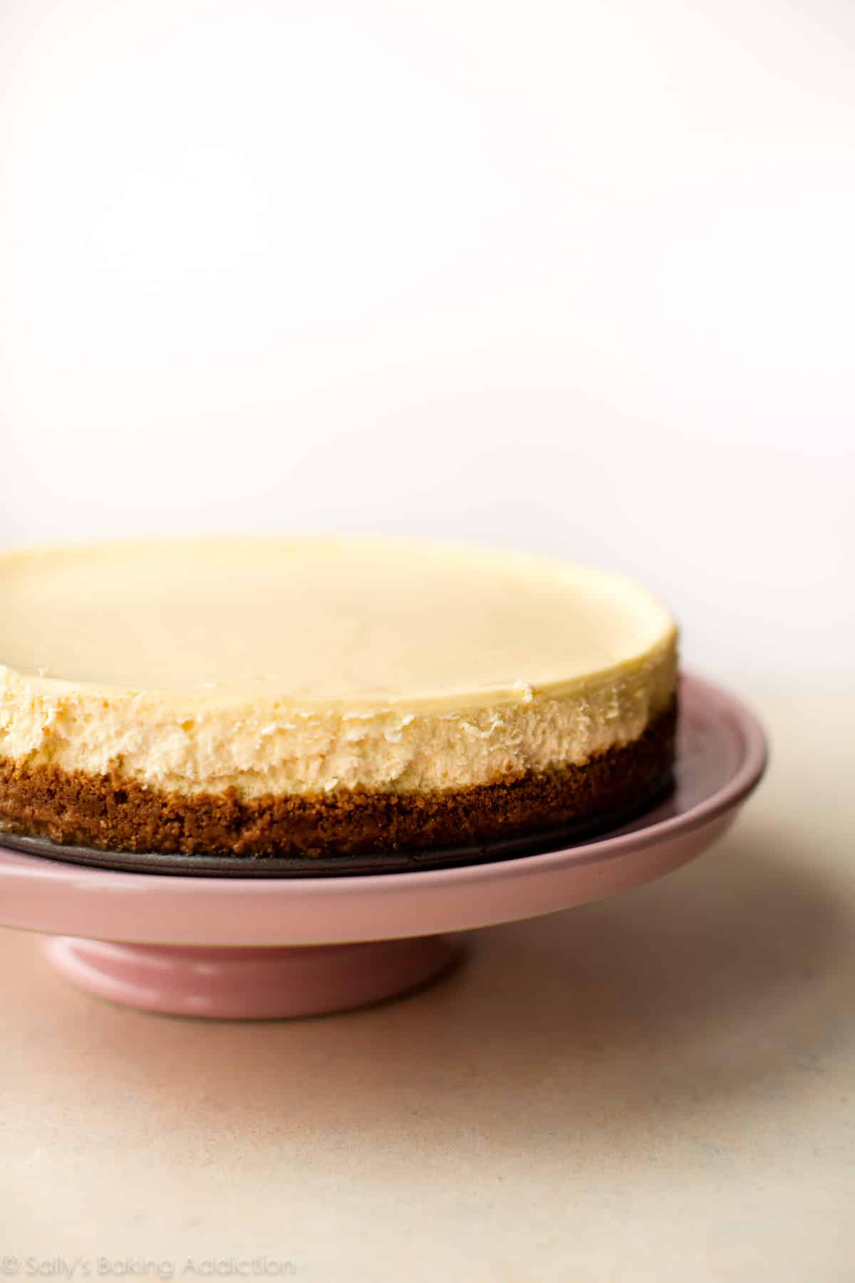 whole cheesecake on a pink cake stand