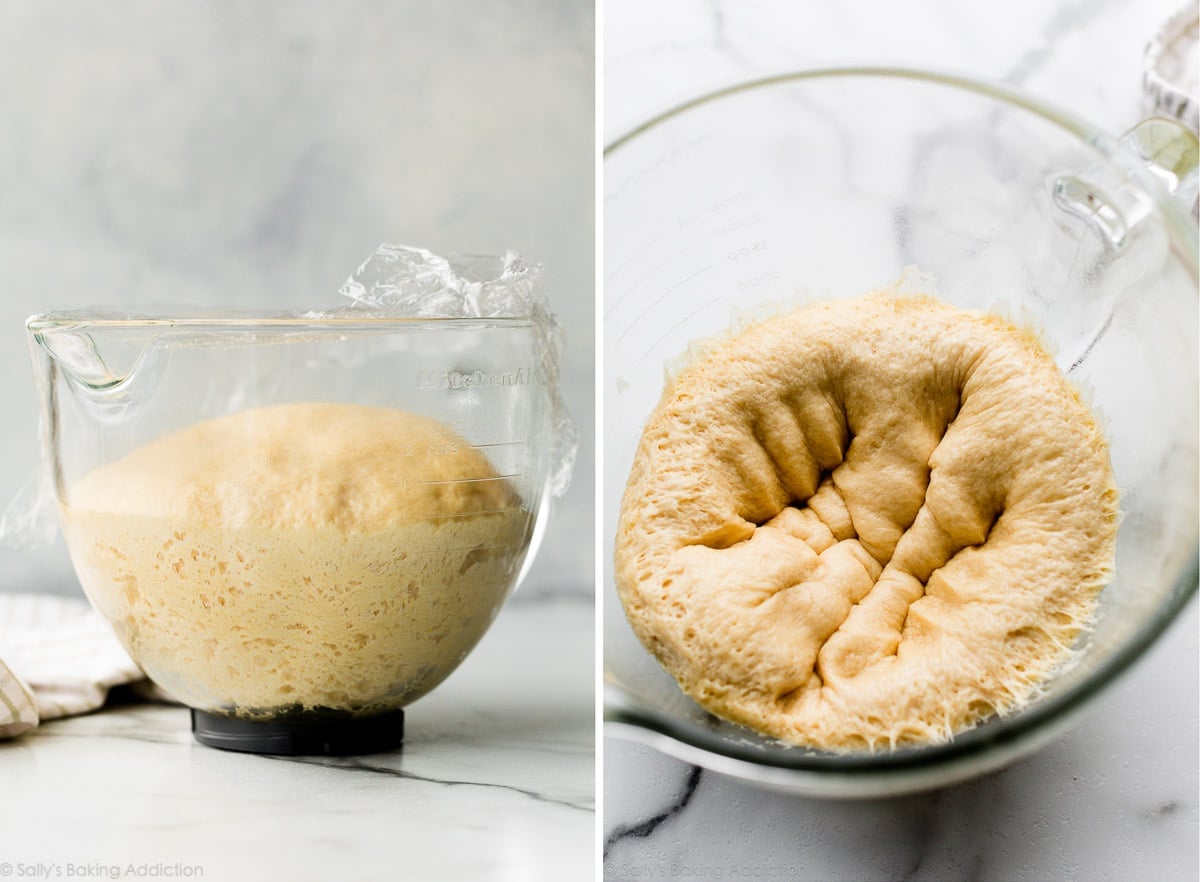 babka dough