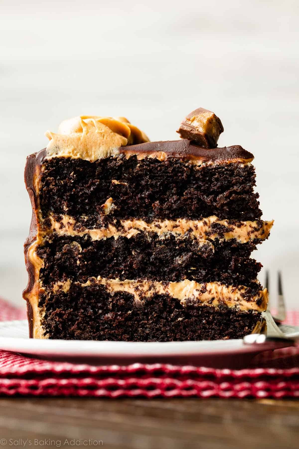 slice of dark chocolate peanut butter cake on white plate set on red checkered napkin.