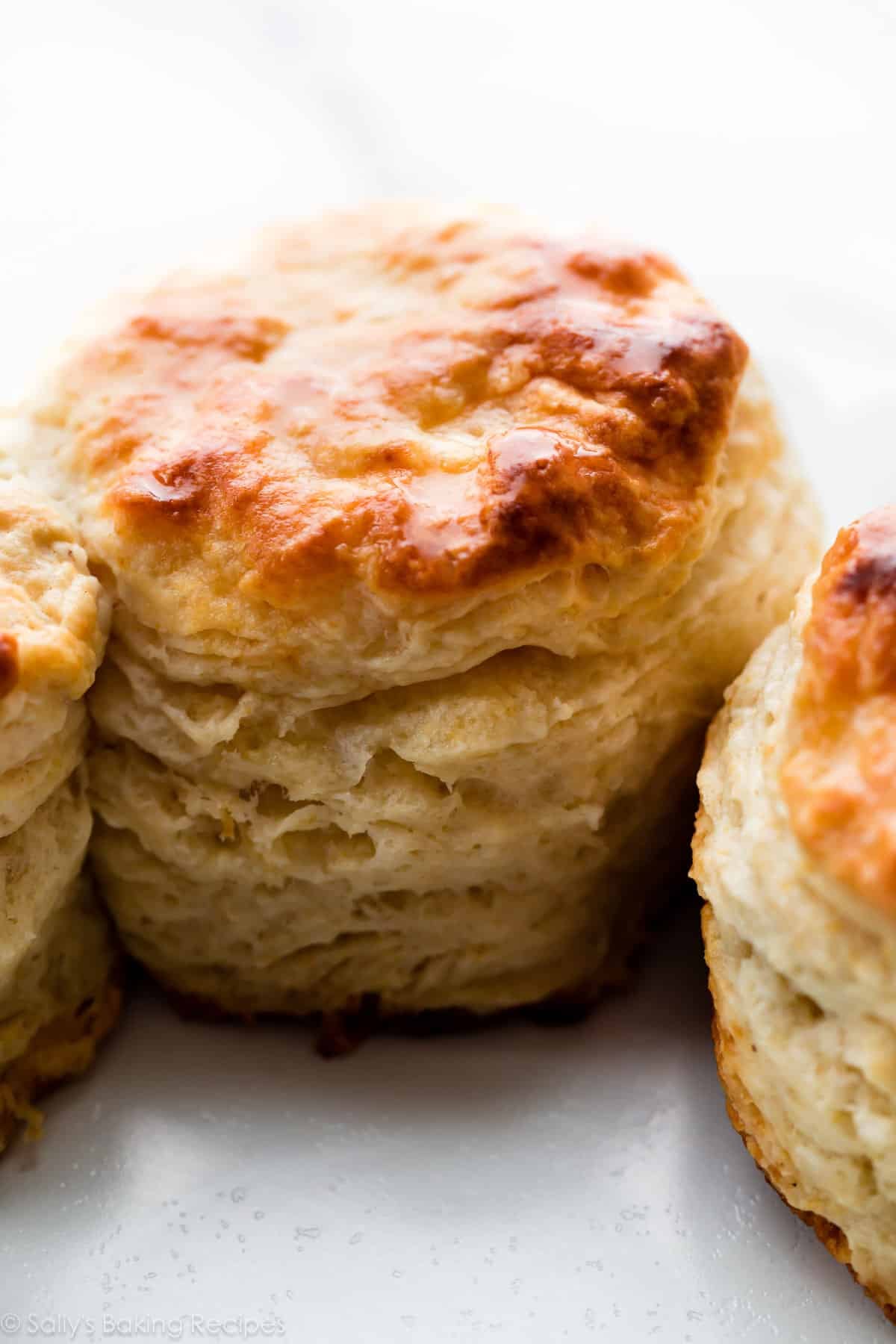 close-up of biscuit.